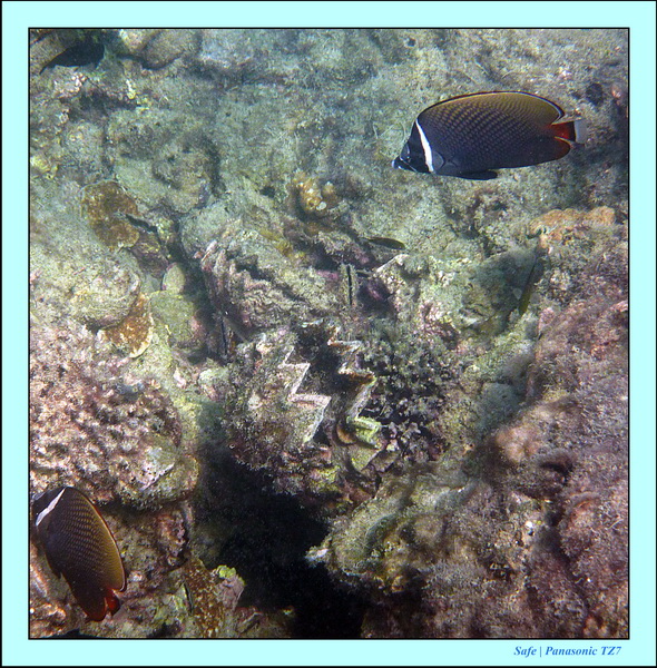 2011 - 03 - Koh Kradan 053